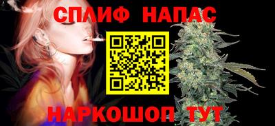 гашик Аргун