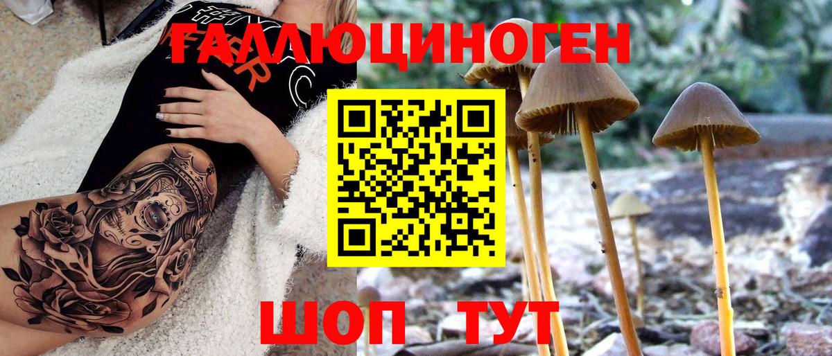 Псилоцибиновые грибы ЛСД  Галлюциногенные грибы прущие грибы  Борисоглебск  Вход с VPN 